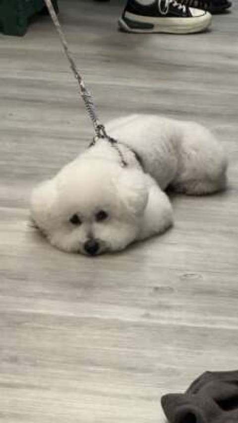  �o��4/11(�y)15:00-18:30�ɕύX�y�����z